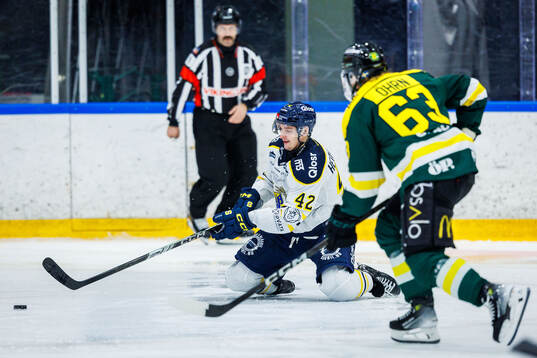 Södertäljes Ludvig Hedström