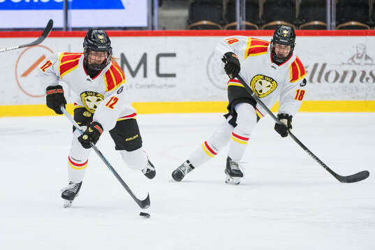 Brynäs Mina Waxin och Jenniina Nylund