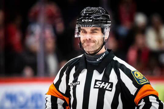 Domare Daniel Eriksson