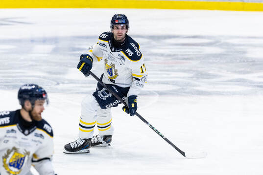 Södertäljes Amil Krupic