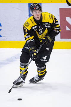 Västerås Anton Gradin
