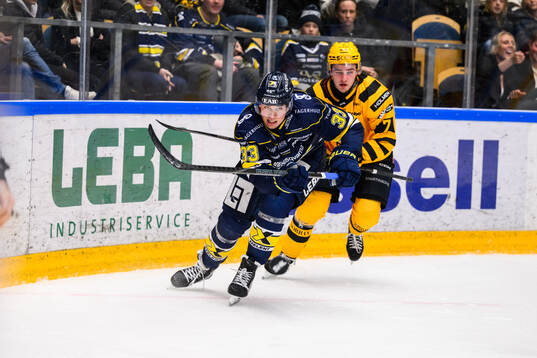 HV71s Måns Lindbäck och Skellefteås Frans Haara