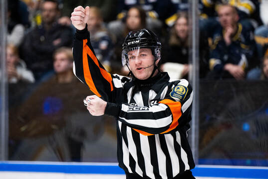 Domare Daniel Eriksson