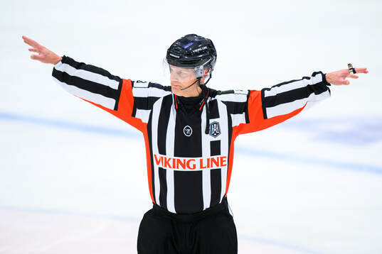 Domare Mikael Nord