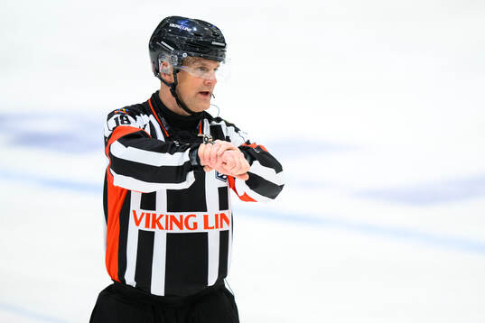 Domare Mikael Nord
