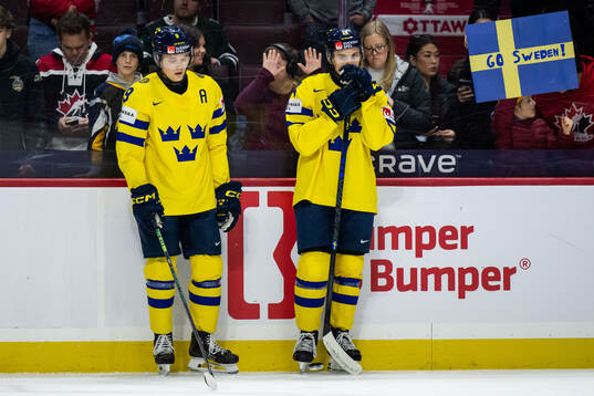 Theo Lindstein and Linus Eriksson of Sweden