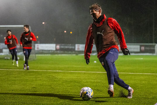 Helsingbirgs Taylor Silverholt