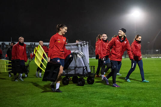 Helsingborgs damlagets spelare