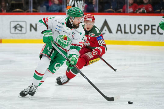 Rögles Michael Kapla