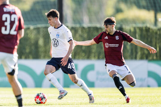 Kenan Busuladzic of Malmö FF and Veljko Birmancevic of