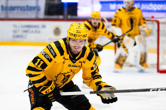 Skellefteås Max Lindholm