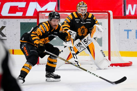 Skellefteås Arvid Lundberg och målvakt Linus Söderström