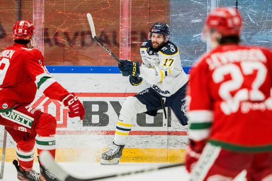 Södertäljes Amil Krupic