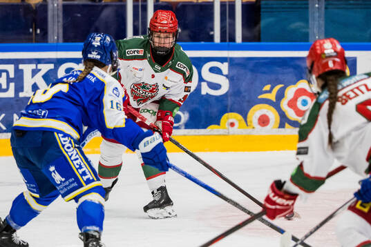 Modos Vendula Pribylova