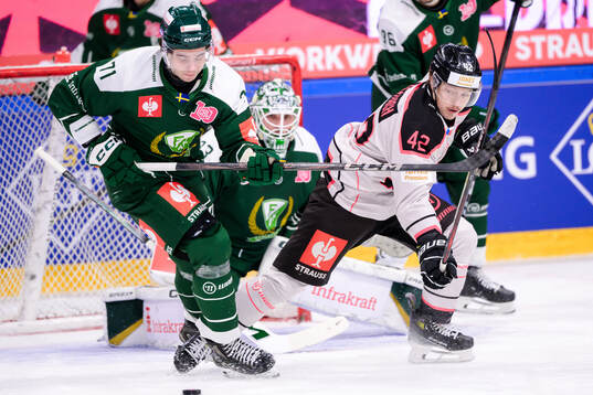 Viktor Lodin of Färjestad  and David Vitouch of Sparta