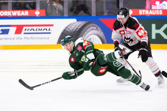 Michael Lindqvist of Färjestad and Jakub Krejcik of Sparta