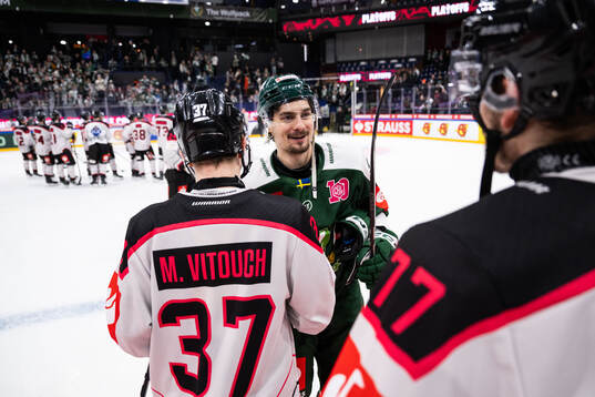 David Tomasek of Färjestad and Michal Vitouch of Sparta