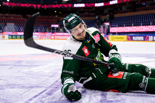 David Tomasek of Färjestad celebrates