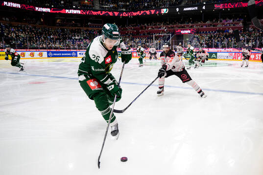 Joel Nyström of Färjestad  and Michal Repik of Sparta
