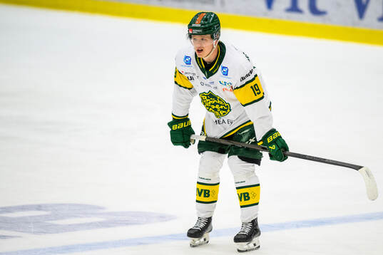 Björklövens Liam Dower Nilsson