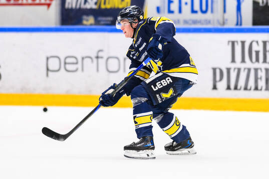 HV71s Victor Sjöholm