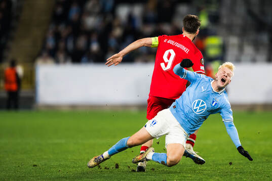 Otto Rosengren of Malmö FF and Ricky van Wolfswinkel of Twente
