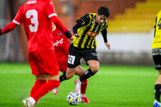 Häckens Malte Ljungkull