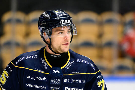 HV71s Radan Lenc