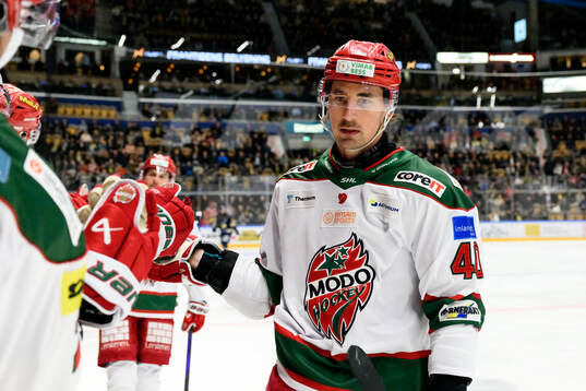 Modos David Bernhardt jublar