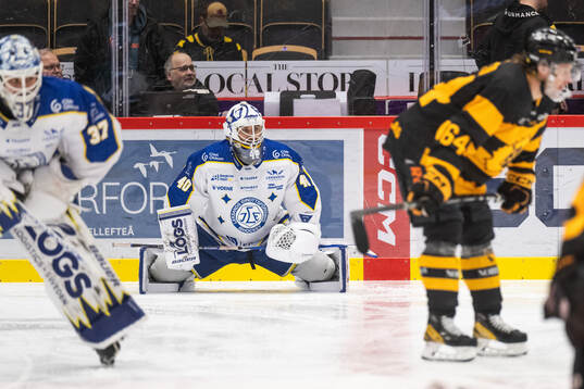 Leksands målvakt Mantas Armalis