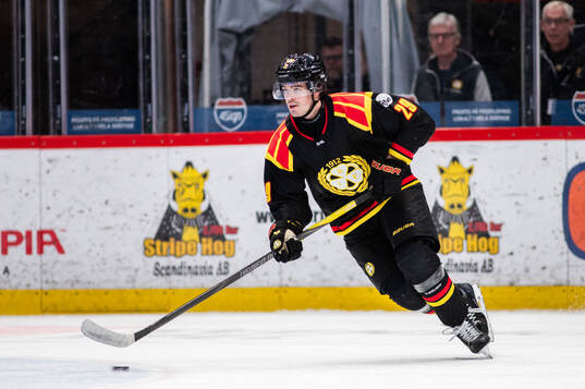 Brynäs Axel Andersson