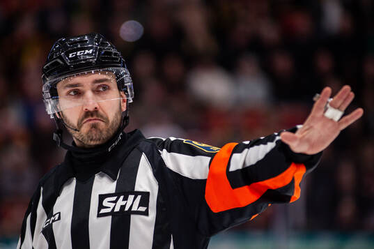 Domare Mattias Enroth