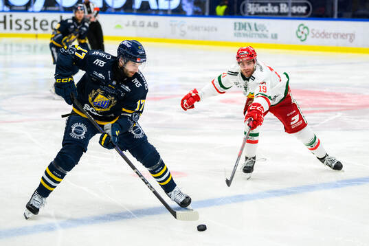 Södertäljes Amil Krupic