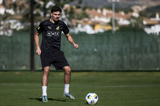 Häckens Nikola Mitrovic