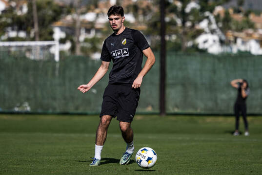 Häckens Nikola Mitrovic