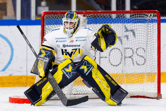HV71s målvakt Lina Van Noort