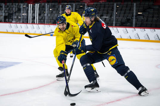 Henrik Tömmernes and Jacob De La Rose of the Swedish