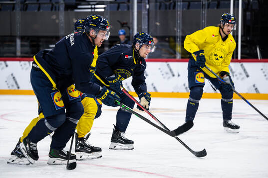 Lias Andersson of the Swedish national ice hockey team at a