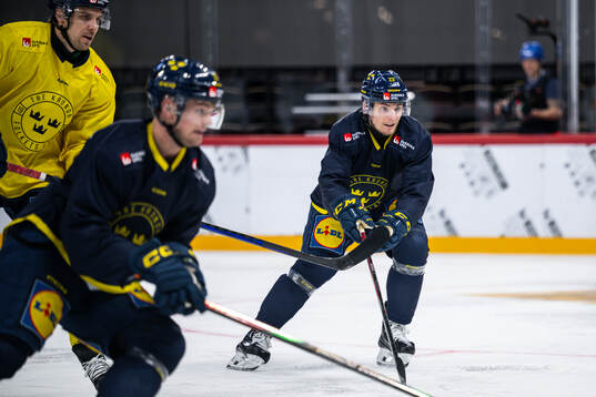 Lias Andersson of the Swedish national ice hockey team at a