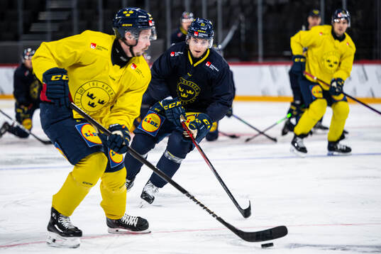 Jonathan Dahlén and Lias Andersson of the Swedish national