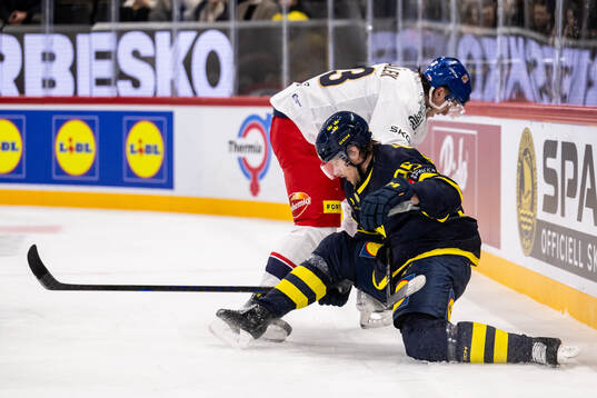 Jacob de la Rose of Sweden and Matyas Kantner of Czech