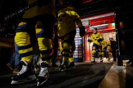 Lias Andersson of Sweden