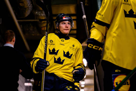 Lias Andersson of Sweden