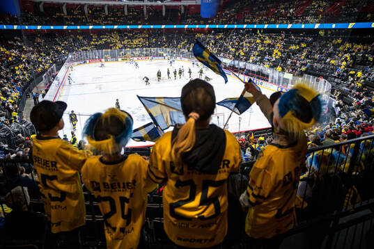 General view of Avicii Arena