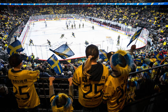 General view of Avicii Arena