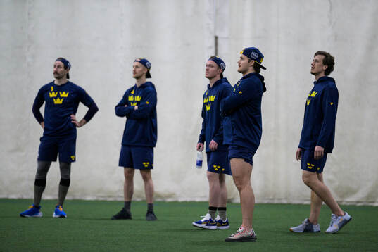 Filip Forsberg, Elias Pettersson, Gustav Nyquist, William