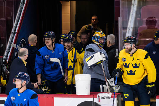 William Nylander, Viktor Arvidsson, goaltender Samuel