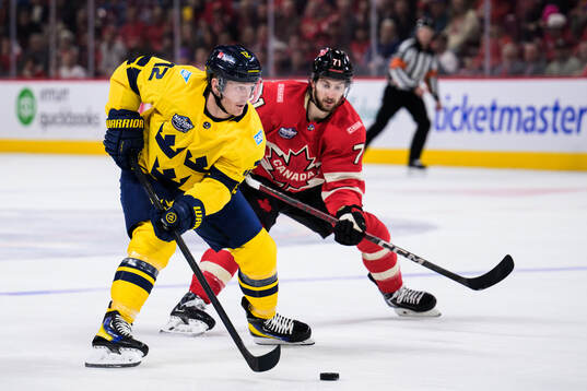Gustav Nyquist of Sweden and Anthony Cirelli of Canada