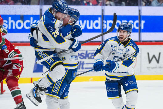 Leksands spelare jublar