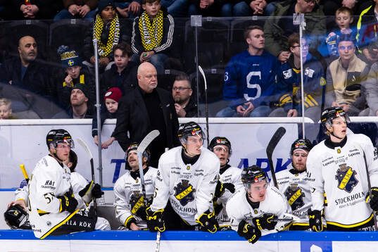 AIKs tränare Roger Melin